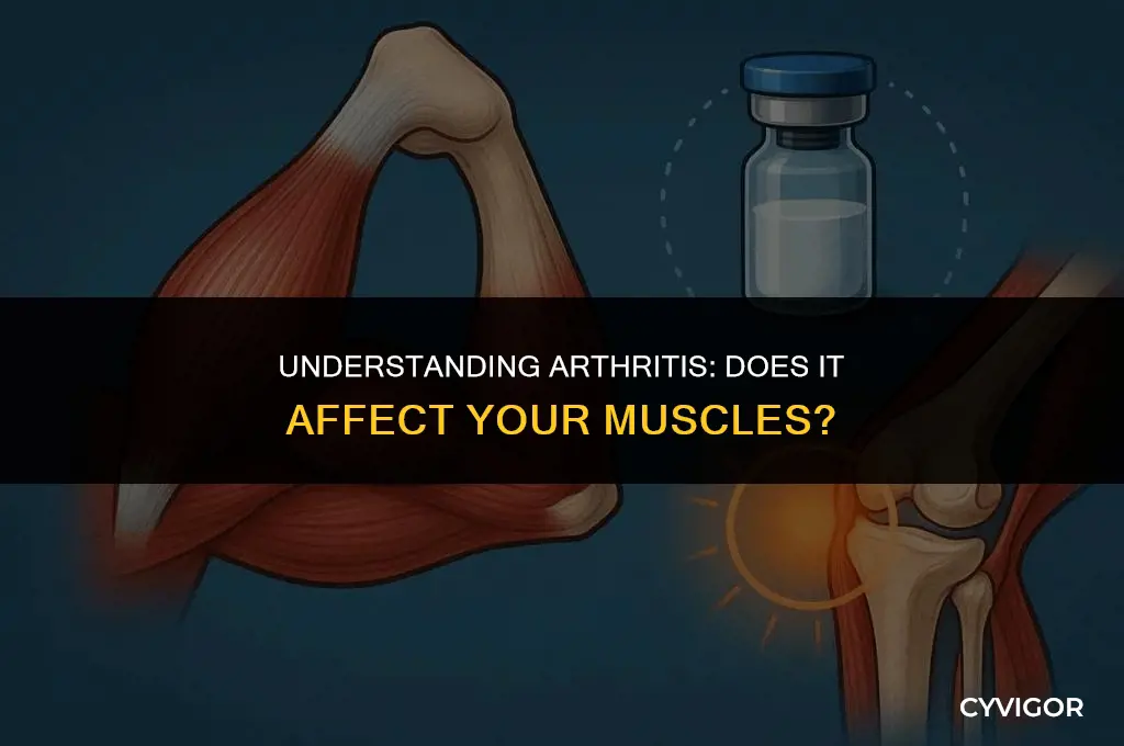 do you get arthritis in your muscles
