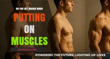 Muscle Gain and Body Size: Understanding the Relationship