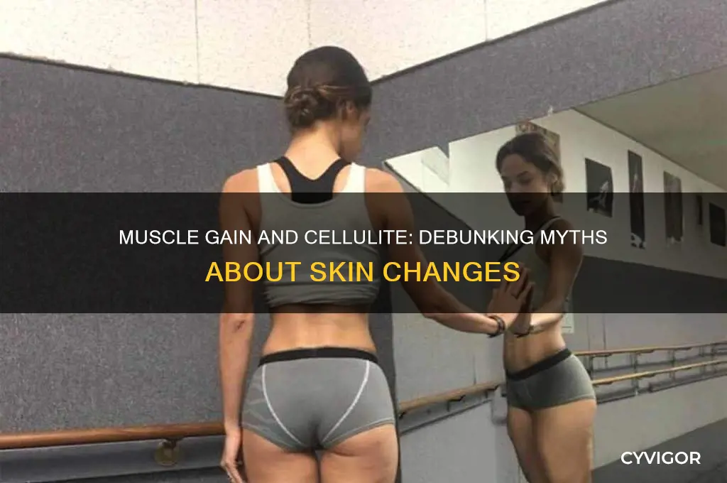 do you get celulite when you gain muscle