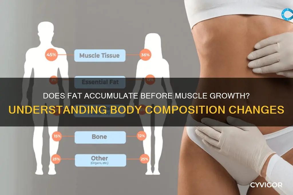 do you get fat before you gain muscle