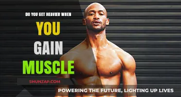 Does Muscle Gain Increase Your Weight? Understanding Body Composition Changes