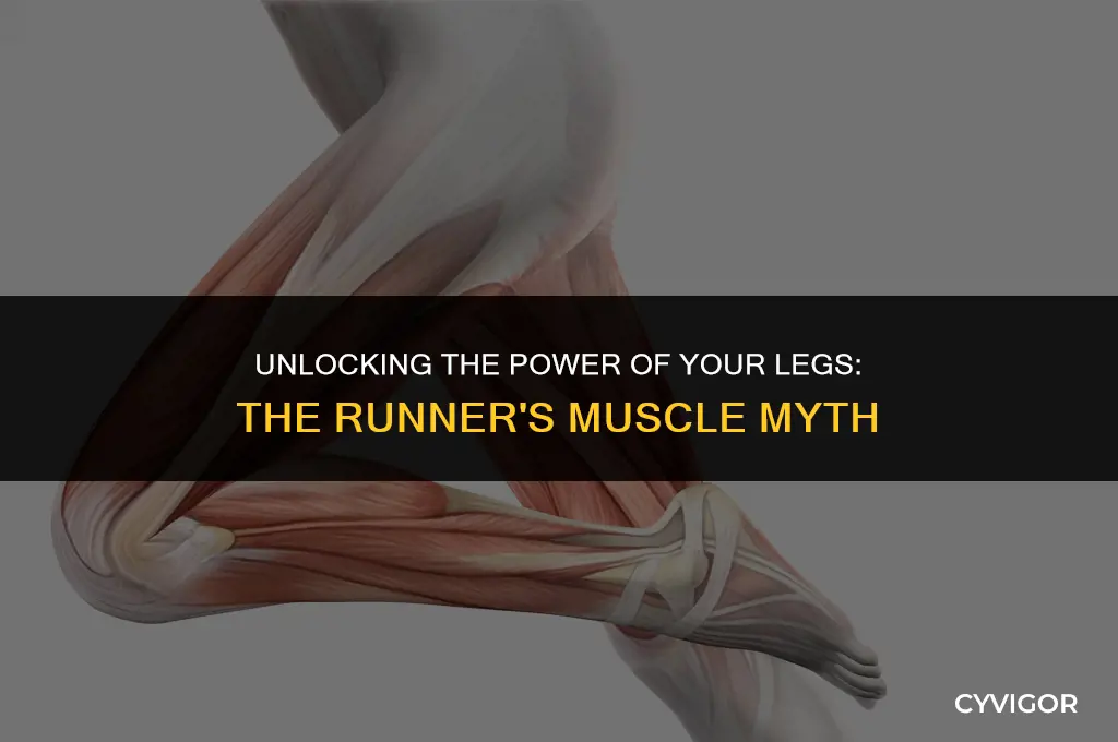 do you get leg muscle from running