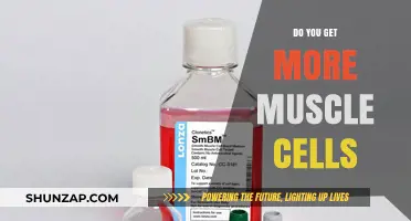 Unlocking Muscle Growth: The Science Behind Muscle Cell Increase