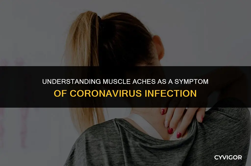 do you get muscle aches with coronavirus