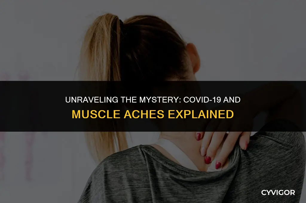 do you get muscle aches with covid