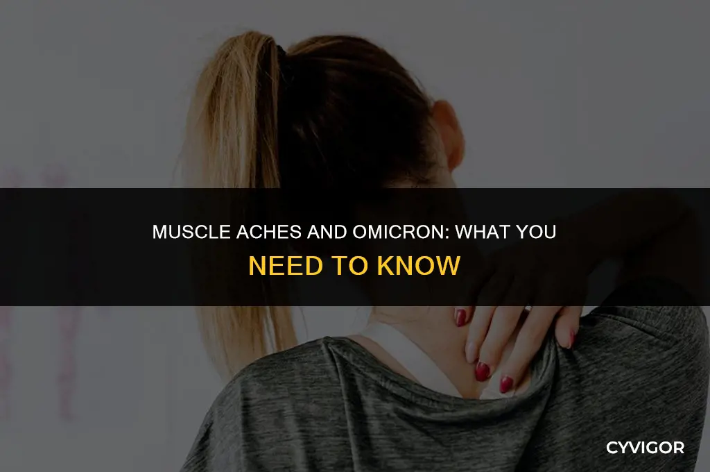 do you get muscle aches with omicron
