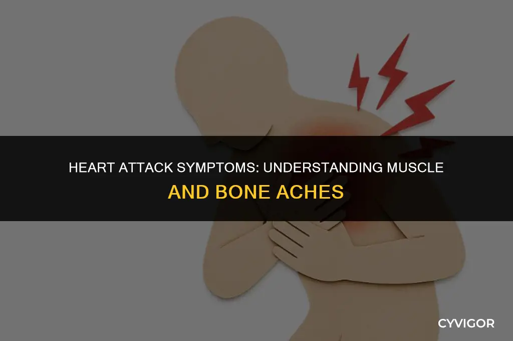 do you get muscle and bone aches with aheart attack