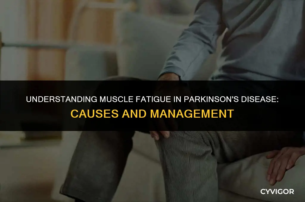 do you get muscle fatigue with parkinsons disease