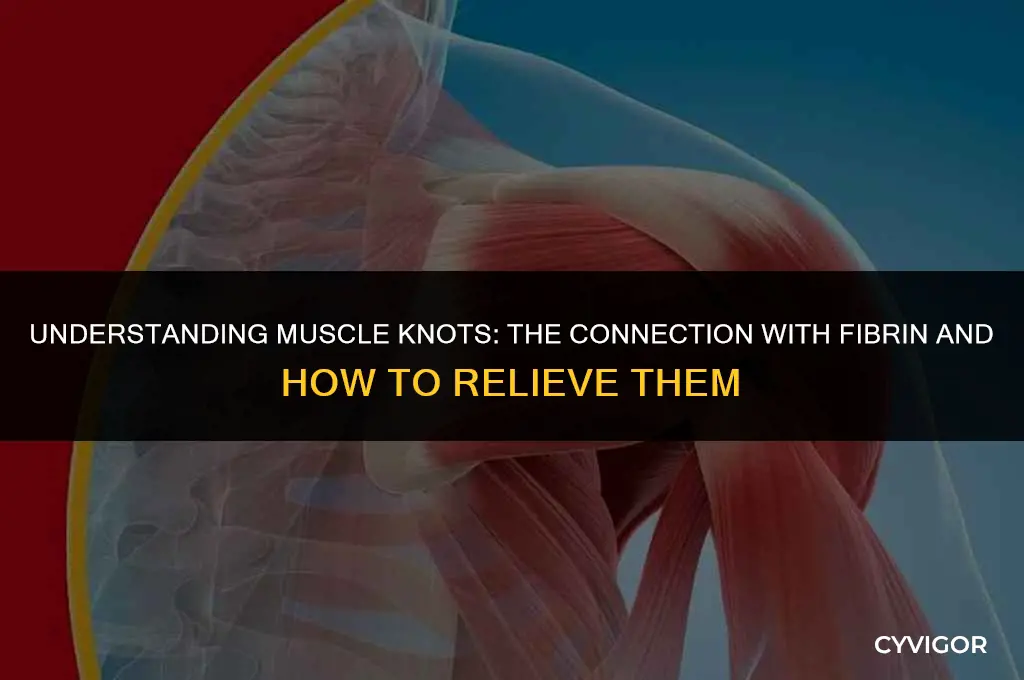 do you get muscle knots with fibr