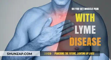 Exploring the Connection: Lyme Disease and Muscle Pain Symptoms