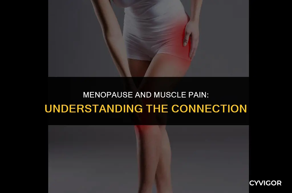 do you get muscle pain with menopause