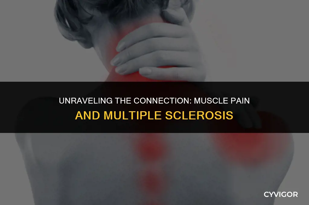 do you get muscle pain with ms