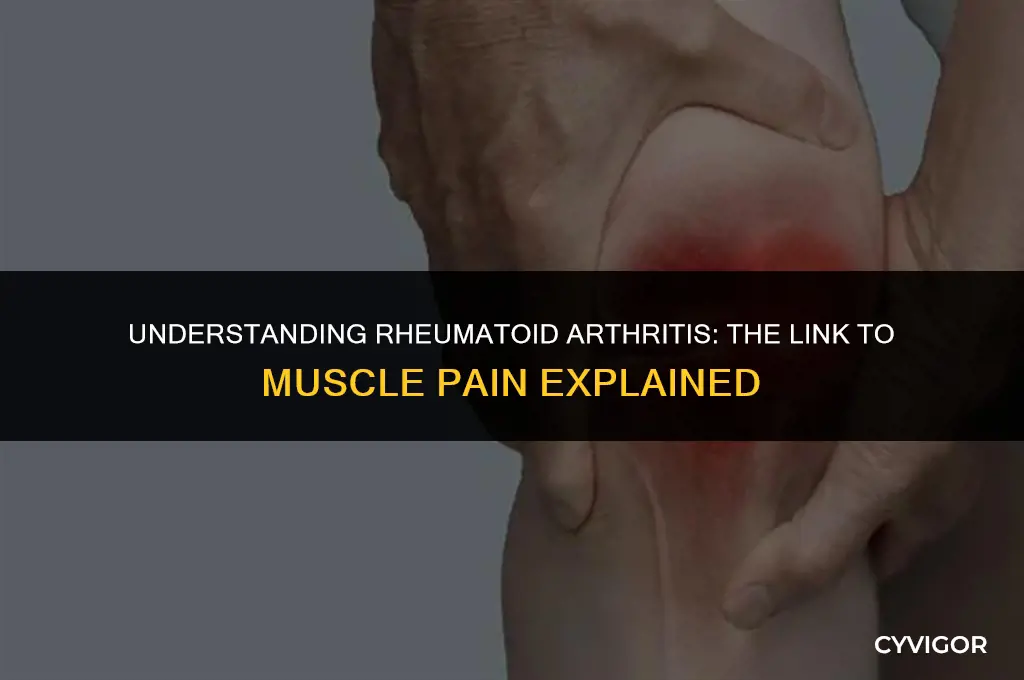 do you get muscle pain with rheumatoid arthritis