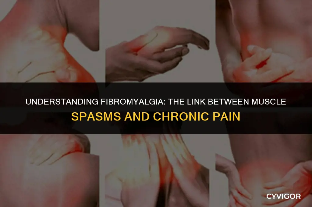 do you get muscle spasms with fibromyalgia