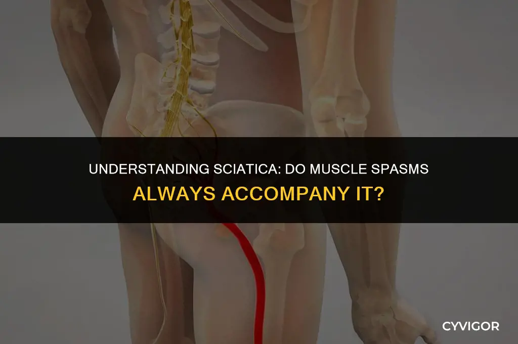 do you get muscle spasms with sciatica