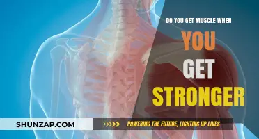 Building Strength: The Science Behind Muscle Growth and Power