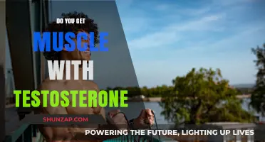 Unlocking Strength: The Truth About Testosterone and Muscle Gain