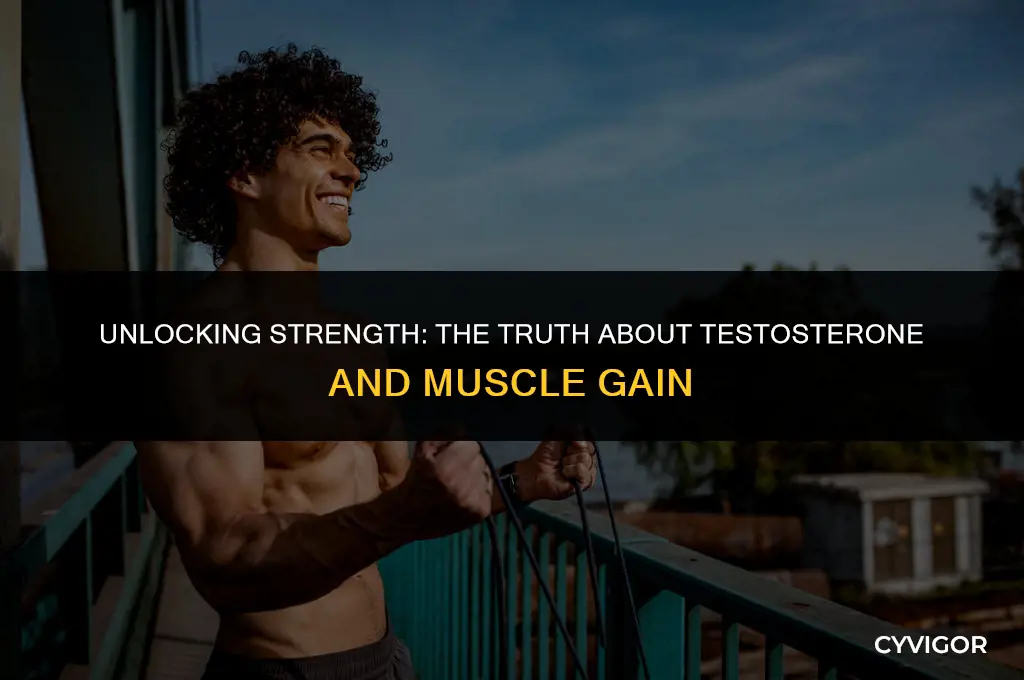 do you get muscle with testosterone