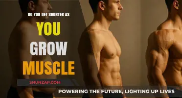 Does Muscle Growth Make You Shorter? Debunking the Myth