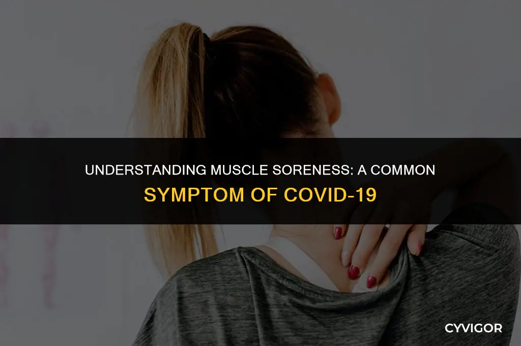 do you get sore muscles with covid 19