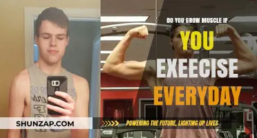 Daily Workouts: Can Consistent Exercise Build Muscle Effectively?