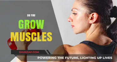 Building Strength: Understanding How Muscles Grow and Develop Effectively