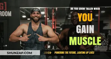 Does Muscle Gain Increase Height? Unraveling the Truth About Growth