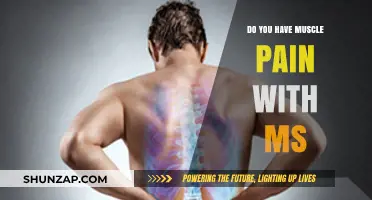 Understanding Muscle Pain in Multiple Sclerosis: Causes, Management, and Relief