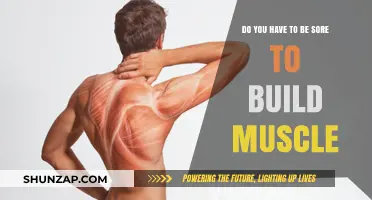 Debunking the Myth: Muscle Growth and Soreness Explained