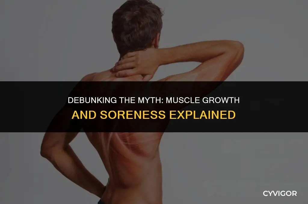 do you have to be sore to build muscle