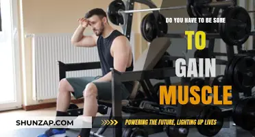 Muscle Growth Without Soreness: Separating Myth from Reality