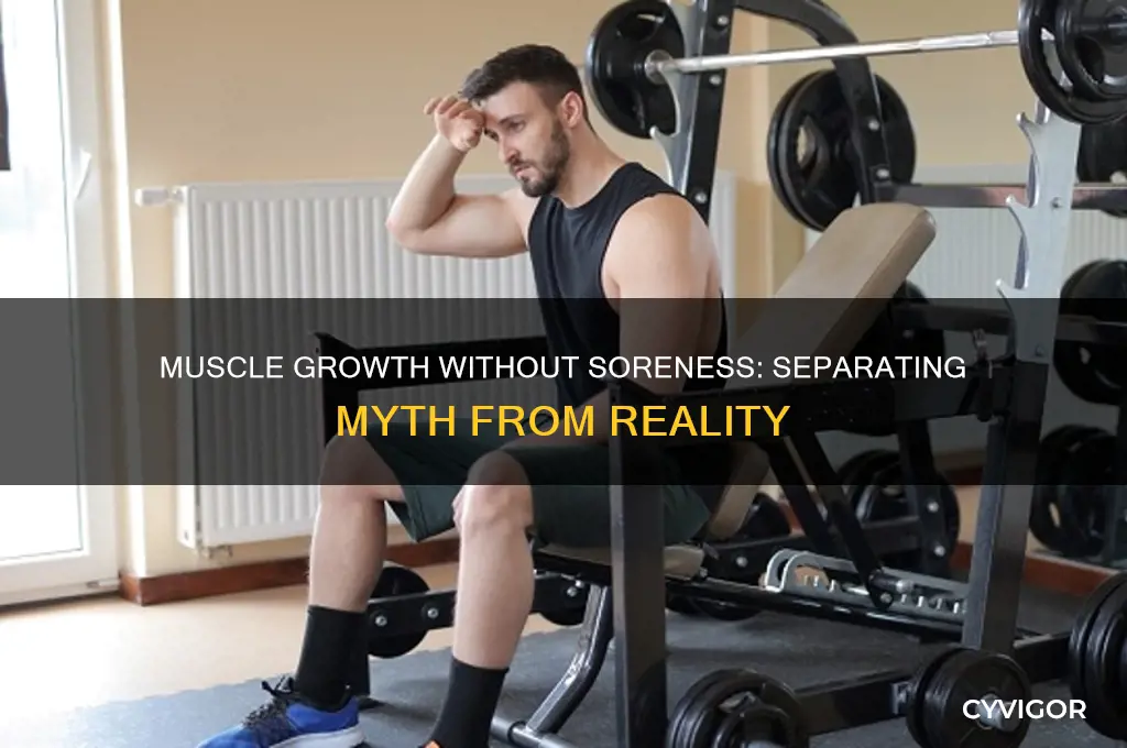 do you have to be sore to gain muscle