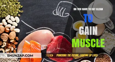Clean Eating vs. Muscle Gain: Is It Necessary for Growth?