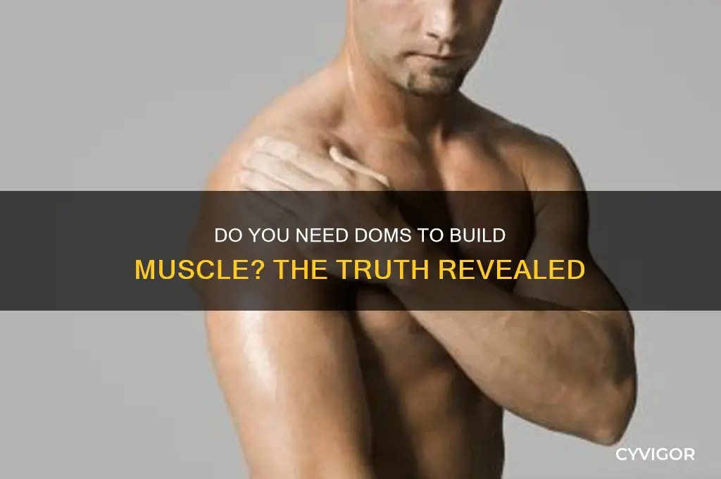 do you have to feel doms to gain muscle