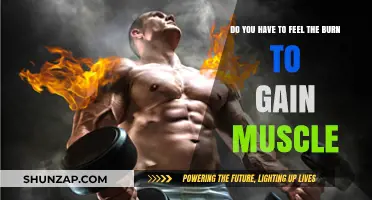 Muscle Growth Without the Burn: Fact or Fitness Myth?