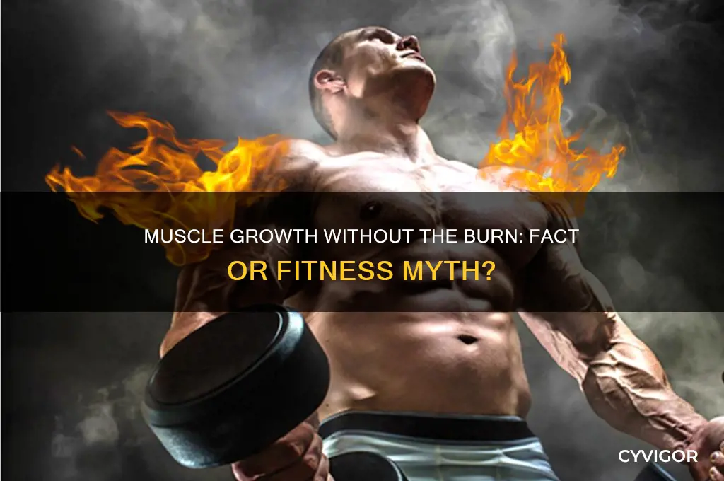 do you have to feel the burn to gain muscle