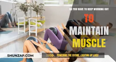 Maintain Muscle Without Constant Workouts: The Truth Revealed