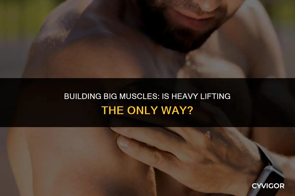 do you have to lift heavy to get big muscles