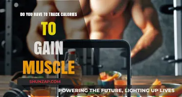 Calorie Tracking for Muscle Gain: Essential or Optional?