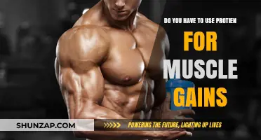 Protein for Muscle Gains: Essential or Optional for Growth?