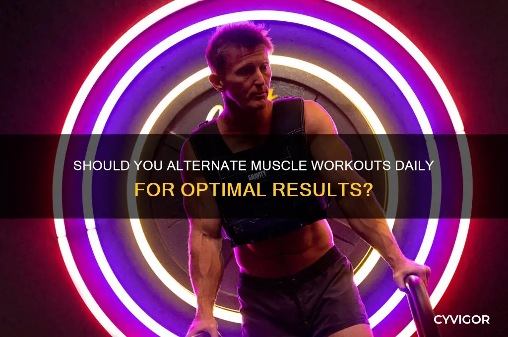 do you have to work muscles every other day