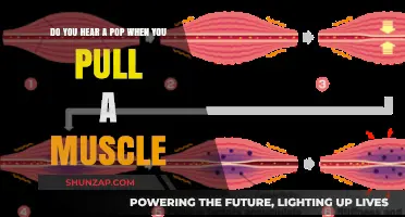 Pop Sound When Pulling a Muscle: Causes and Concerns Explained