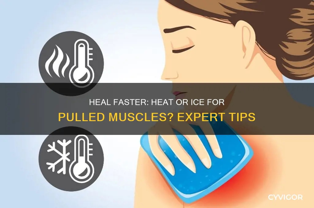 do you heat or cool a pulled muscle
