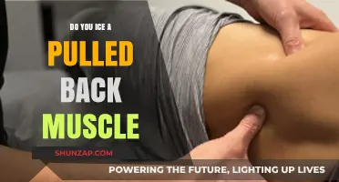 Should You Ice a Pulled Back Muscle? Expert Tips for Recovery