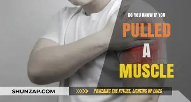 Pulled Muscle or Something Else? How to Identify and Treat It