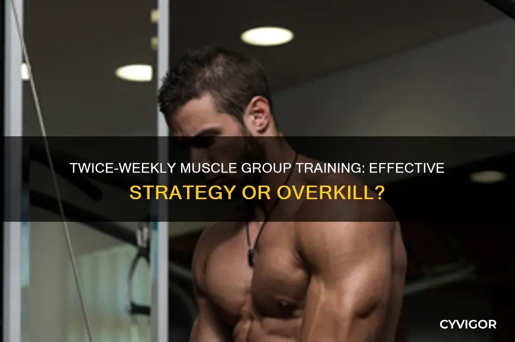 do you lift the same muscle group teice a week