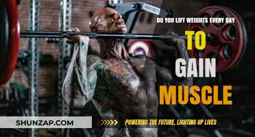 Daily Weight Lifting: Effective Muscle Gain Strategy or Overkill?
