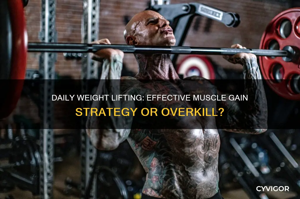 do you lift weights every day to gain muscle