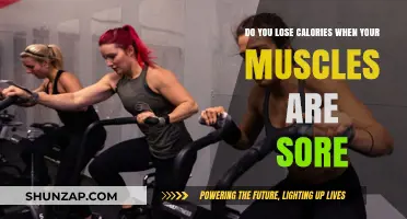 Muscle Soreness and Calorie Burn: Debunking the Post-Workout Myth