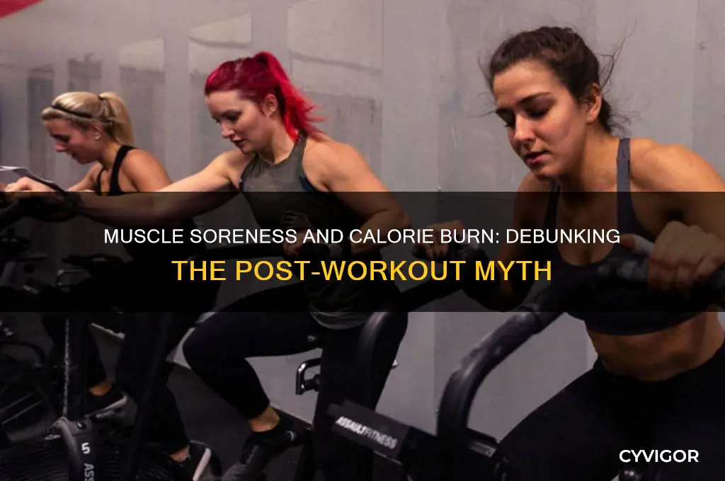 do you lose calories when your muscles are sore